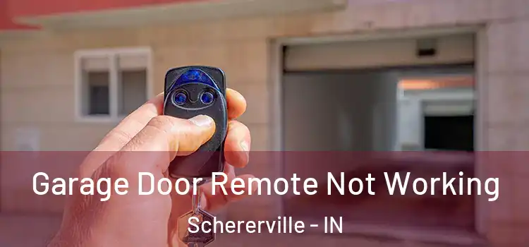  Garage Door Remote Not Working Schererville - IN