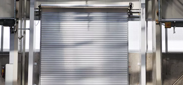 Roller Door Maintenance Schererville