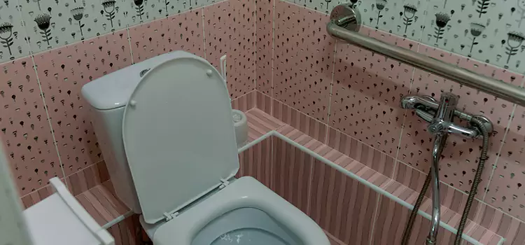 Meeting Diverse Needs With Accessible Restroom Solutions in Schererville, IN